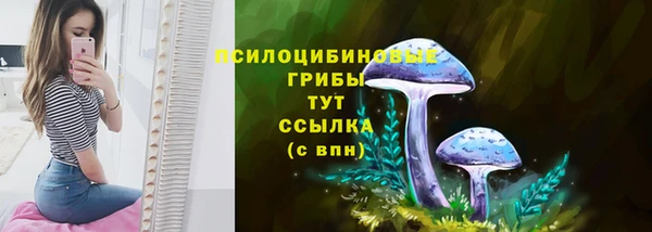 синтетический гашиш Протвино