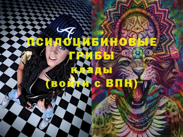 синтетический гашиш Протвино